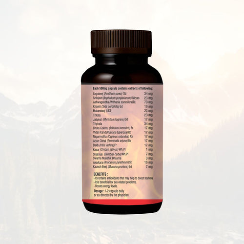 Ayureshwari Ayu Golden Horse Capsules – Stamina, Energy & Performance Support (30 Capsules) – image 2