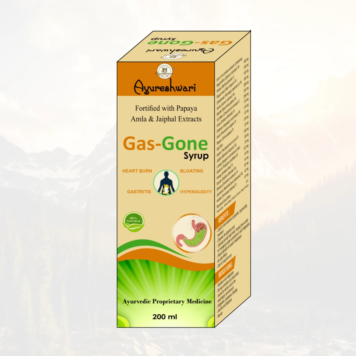 Ayureshwari Gas-Gone Syrup – Ayurvedic Relief for Acidity, Bloating & Digestion (200 ml) – image 3