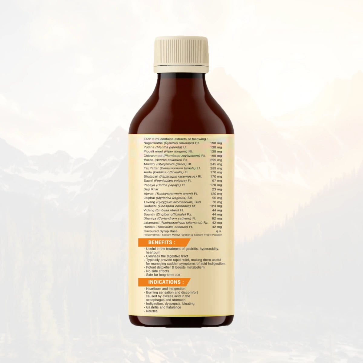 Ayureshwari Gas-Gone Syrup – Ayurvedic Relief for Acidity, Bloating & Digestion (200 ml) – image 4