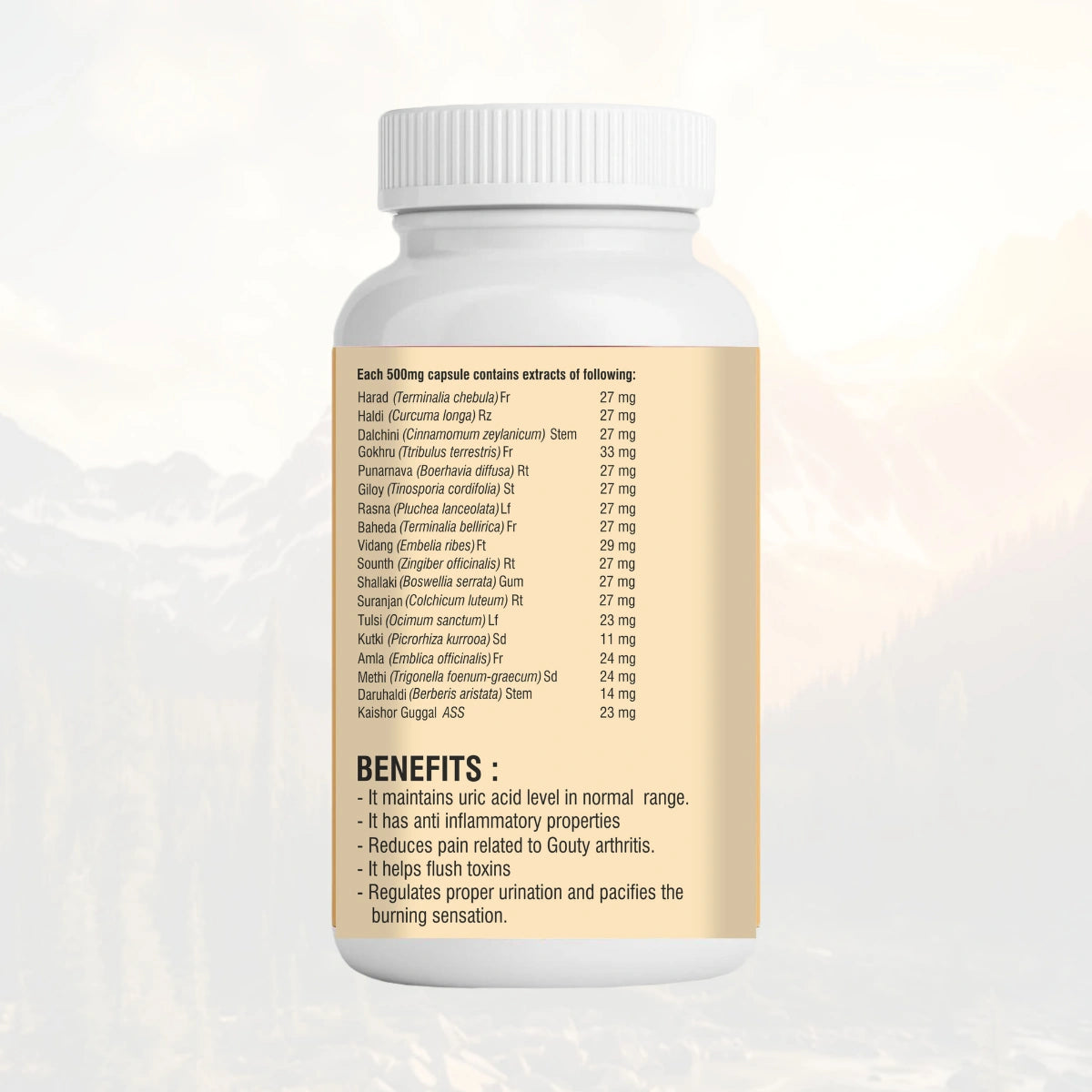 Ayureshwari Uric Clear Capsules - (Pack of 2) (120 Capsules) – image 2