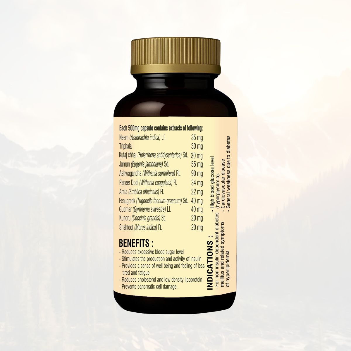 Ayureshwari Ayu Madhumeh Capsules – Herbal Support for Blood Sugar Balance (30 Capsules) – image 2