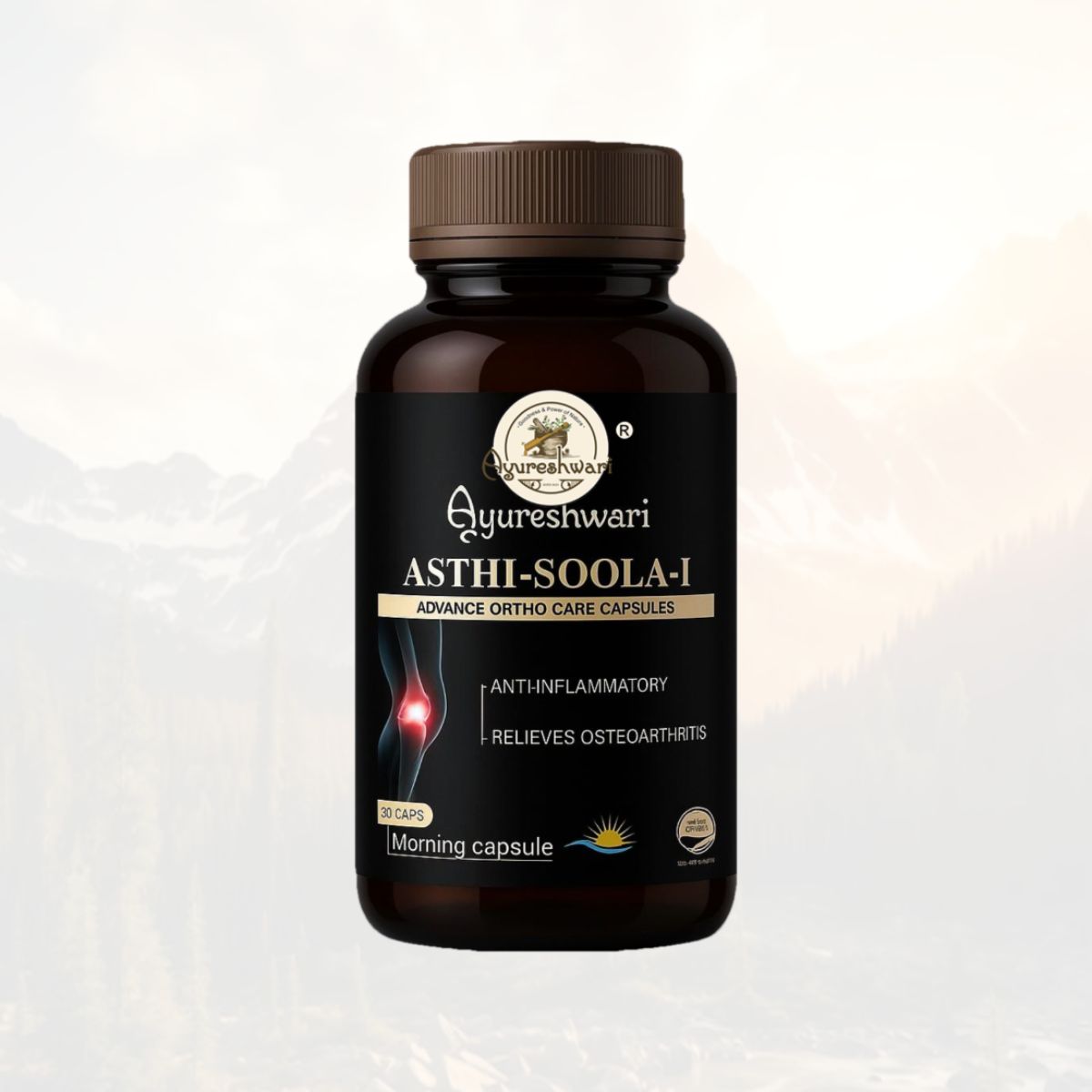 Ayureshwari Asthi-Soola Advanced Ortho Care Combo Kit – Joint, Bone & Muscle Support (Capsules + Oil) – image 2