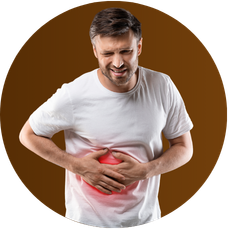 LIVER AND DIGESTION