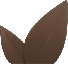 AYURVEDIC EXPERTISE