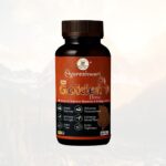 Ayureshwari Ayu Golden Horse Capsules – Stamina, Energy & Performance Support (30 Capsules)